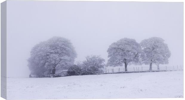The Copse In Winter Canvas Print by Phil Durkin DPAGB BPE4