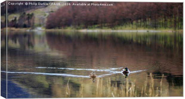 Buttermere Life Canvas Print by Phil Durkin DPAGB BPE4