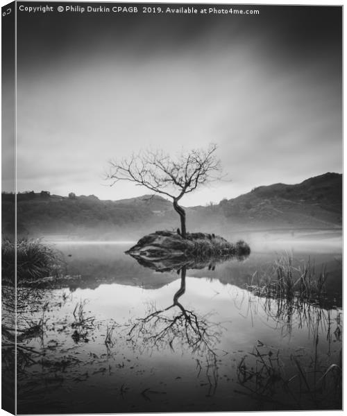 Rydal Water In The Mist Canvas Print by Phil Durkin DPAGB BPE4