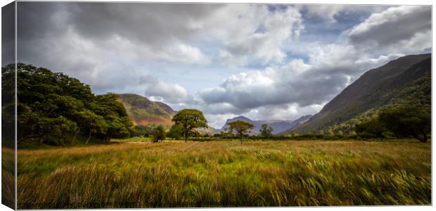 Buttermere Panoramic  Canvas Print by Phil Durkin DPAGB BPE4