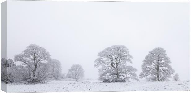 Oak Trees In a Snow Storm Canvas Print by Phil Durkin DPAGB BPE4