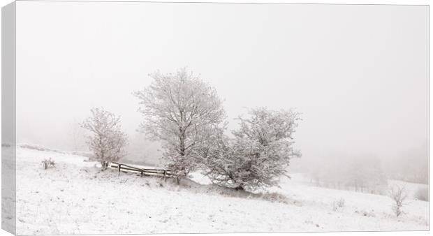 Snowy Trees In The Mist Canvas Print by Phil Durkin DPAGB BPE4
