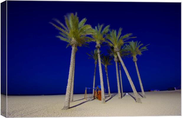 Palms in theevening. Beach of Roquetas de Mar 2 Canvas Print by Jose Manuel Espigares Garc