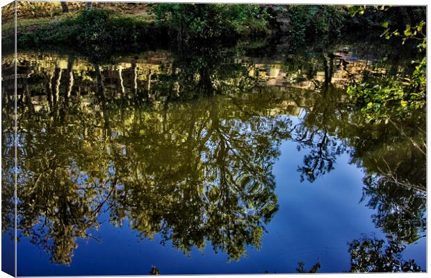 Reflections on the water, the forest Canvas Print by Jose Manuel Espigares Garc