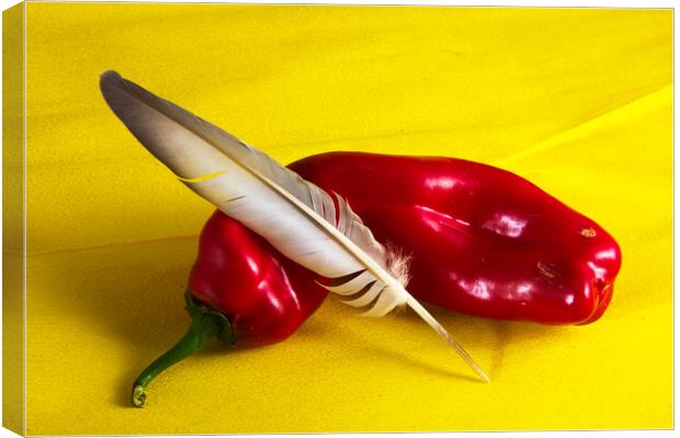 Minimalistic still life with a red pepper and a feather Canvas Print by Jose Manuel Espigares Garc