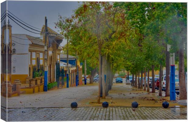 Lonely promenade on a rainy day in Carmona - Seville - Canvas Print by Jose Manuel Espigares Garc