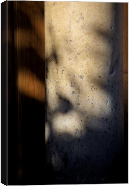 Detail of a marble column with light and shadow Canvas Print by Jose Manuel Espigares Garc