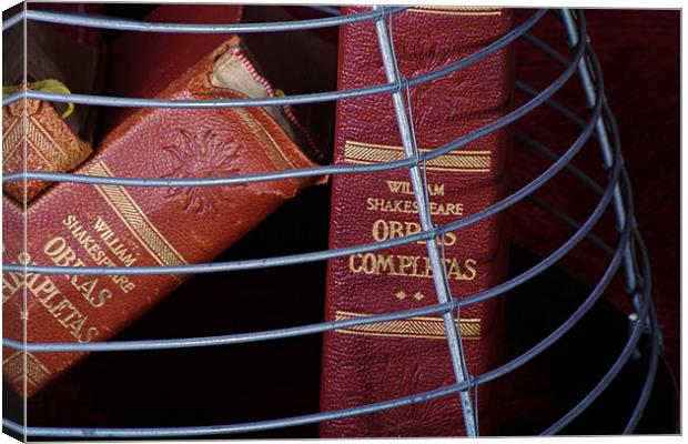 Books in a cage 1 Canvas Print by Jose Manuel Espigares Garc