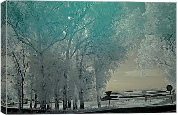 Infrared photography 5 Canvas Print by Jose Manuel Espigares Garc