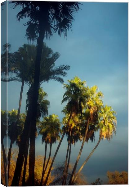 Palms at dusk Canvas Print by Jose Manuel Espigares Garc