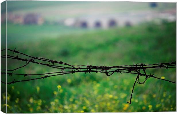 Barbed wire in the countryside Canvas Print by Jose Manuel Espigares Garc
