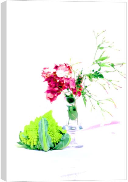 Broccoli and flowers in high key Canvas Print by Jose Manuel Espigares Garc