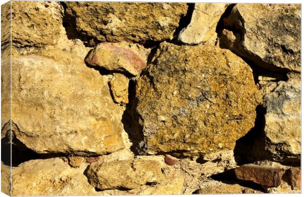 Study of stone textures on a Roman wall Canvas Print by Jose Manuel Espigares Garc