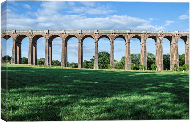  Balcombe Viaduct Canvas Print by Mike Sannwald