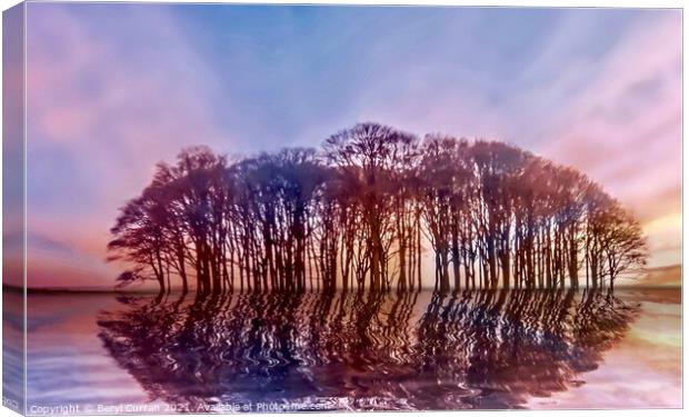 Serene sunset at Cookworthy Knapp Canvas Print by Beryl Curran