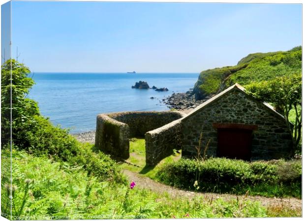 Secluded Cove Adventure Canvas Print by Beryl Curran