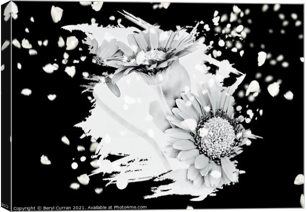 Monochrome Dance of Gerbera Canvas Print by Beryl Curran