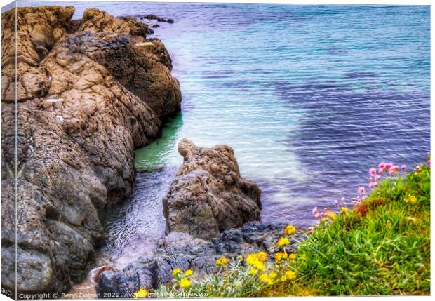 Coastal Wildflowers at Cadgwith Cove Canvas Print by Beryl Curran