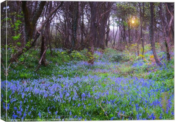Enchanting Bluebell Forest Canvas Print by Beryl Curran