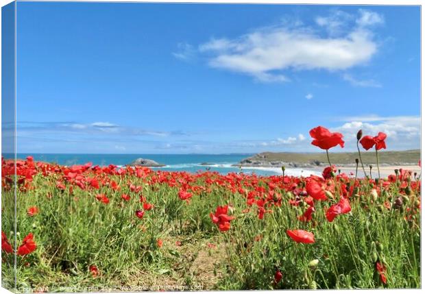 Majestic Poppies Dancing by the Sea Canvas Print by Beryl Curran