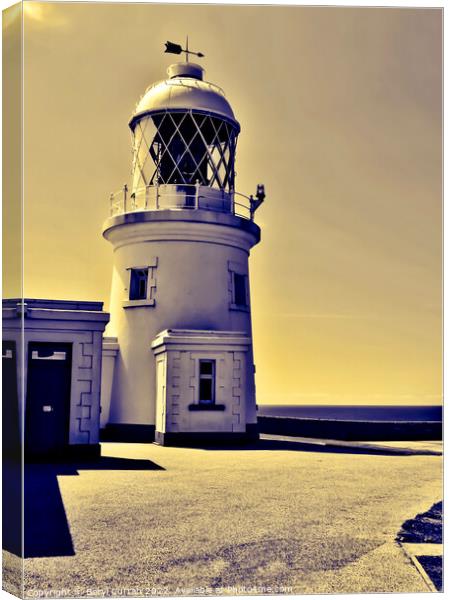 Beacon of Serenity Canvas Print by Beryl Curran