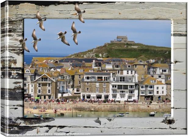 Seagulls View of St Ives Canvas Print by Beryl Curran
