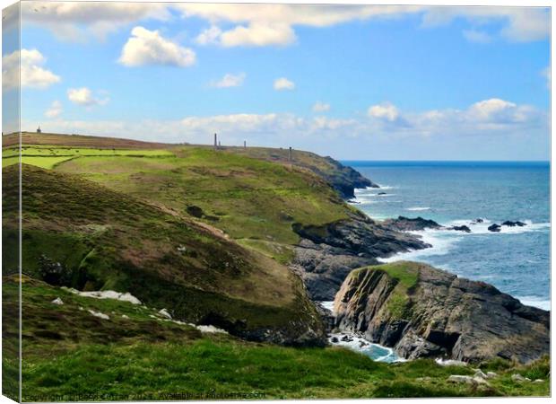 Levant mine Pendeen  Canvas Print by Beryl Curran