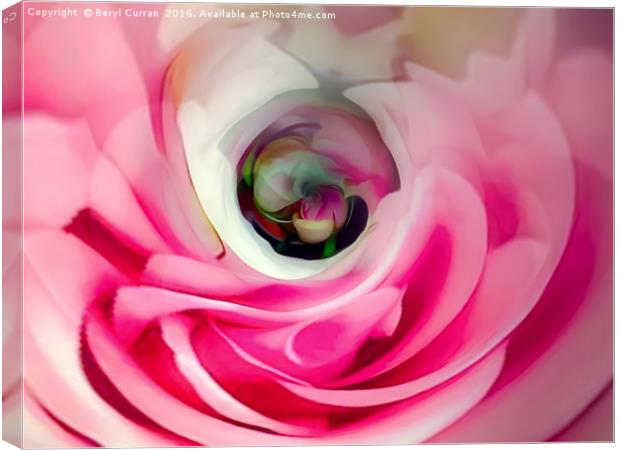 Soft Pink Rose Bud Canvas Print by Beryl Curran