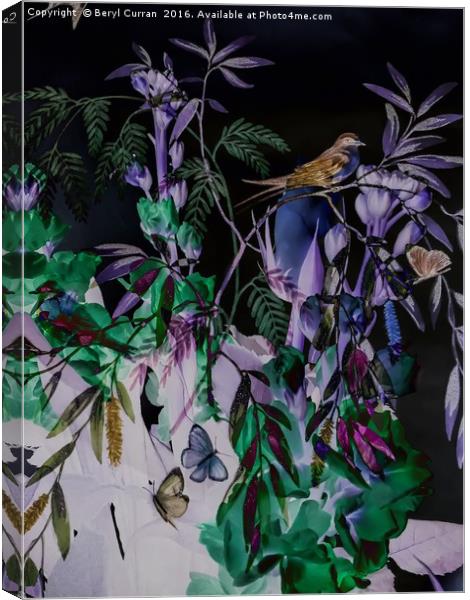 Enchanting Night Garden Canvas Print by Beryl Curran
