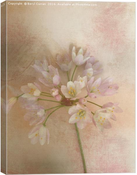 Enchanting Wild Bellflowers Canvas Print by Beryl Curran