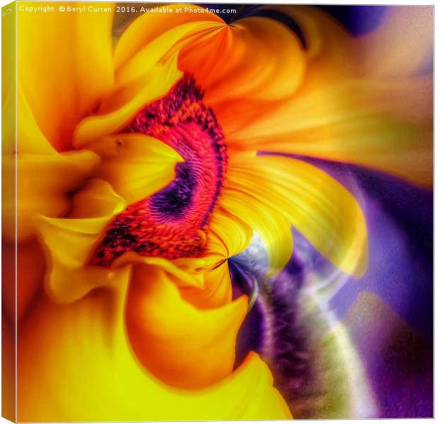 Golden Sunflower Radiance Canvas Print by Beryl Curran