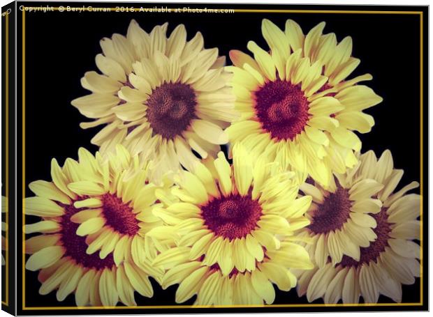 Radiant Summer Sunflowers Canvas Print by Beryl Curran