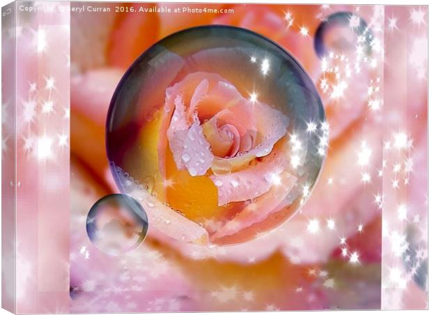 Enchanted Rose Bubble Canvas Print by Beryl Curran