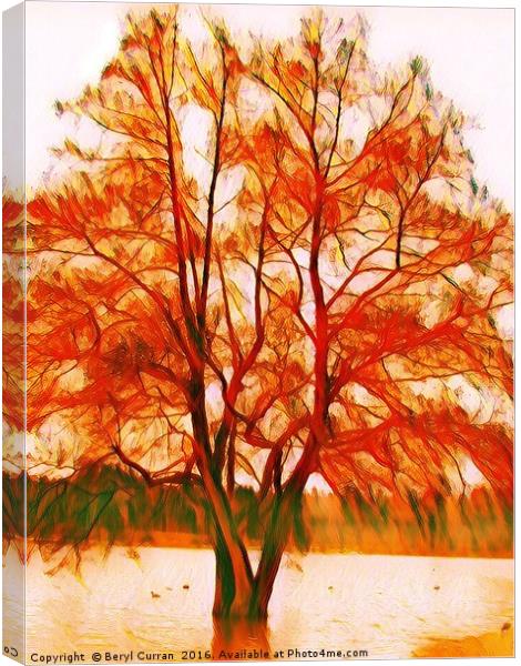 Majestic Autumn Tree Canvas Print by Beryl Curran