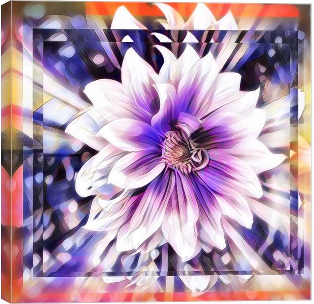 Vibrant Bloom Canvas Print by Beryl Curran
