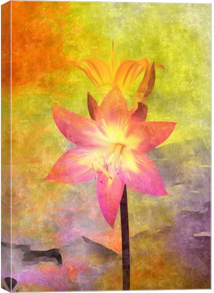 Vivid  Lily Canvas Print by Beryl Curran