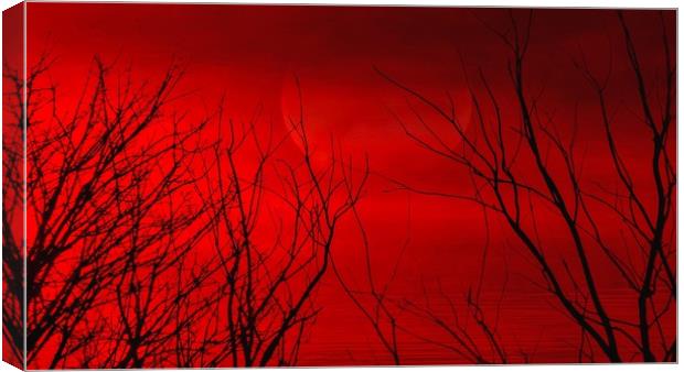 Mystical Red Sunset Canvas Print by Beryl Curran