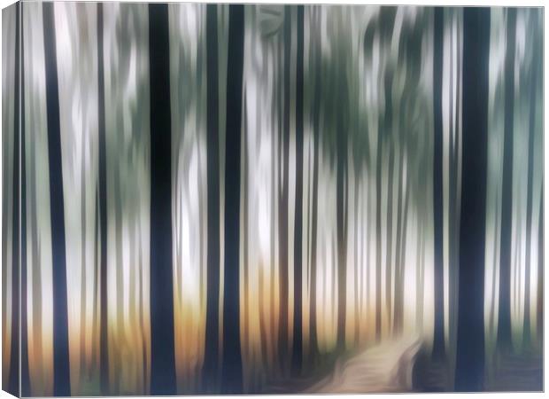 Mystical Journey through the Forest ICM Canvas Print by Beryl Curran