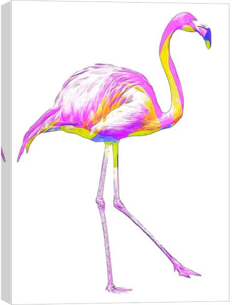 Prideful Rainbow Flamingo Canvas Print by Beryl Curran