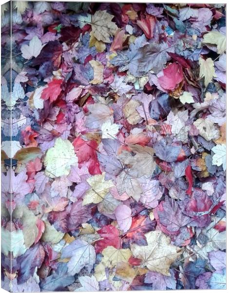 Majestic Autumn Foliage Canvas Print by Beryl Curran