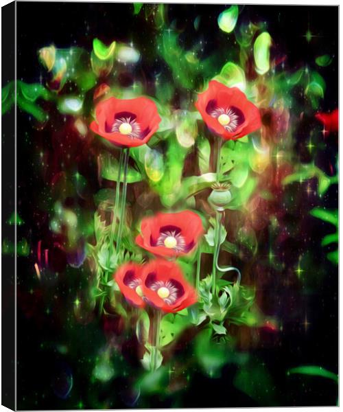 Fiery Scarlet Beauty Canvas Print by Beryl Curran