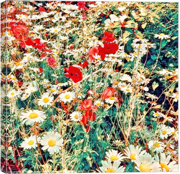 Untamed Beauty A Wildflower Meadow Canvas Print by Beryl Curran