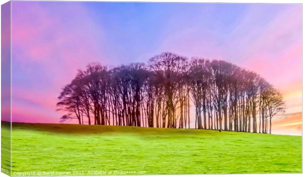 Dramatic sunset Nearly home Trees. Cookworthy Knap Canvas Print by Beryl Curran