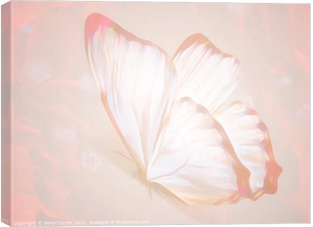 Fluttering Beauty Canvas Print by Beryl Curran