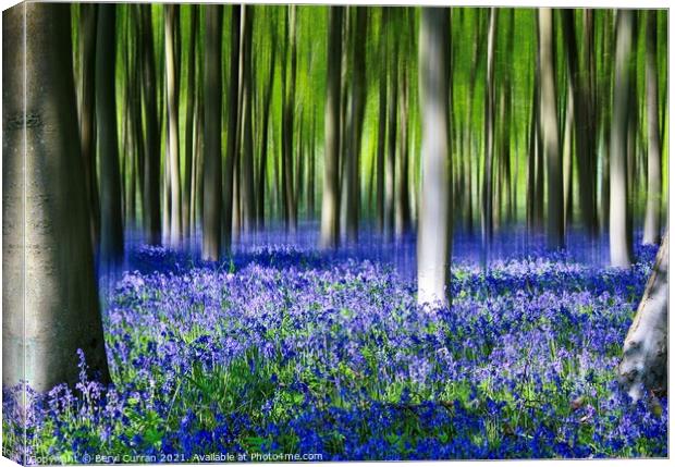 Enchanted Bluebell Forest Canvas Print by Beryl Curran