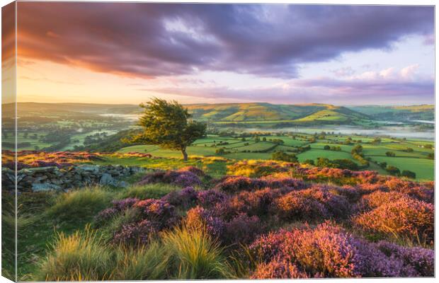 Purple landscape of the Peak District  Canvas Print by John Finney