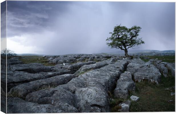 Winskill stones moody storm. Yorkshire Dales.  Canvas Print by John Finney