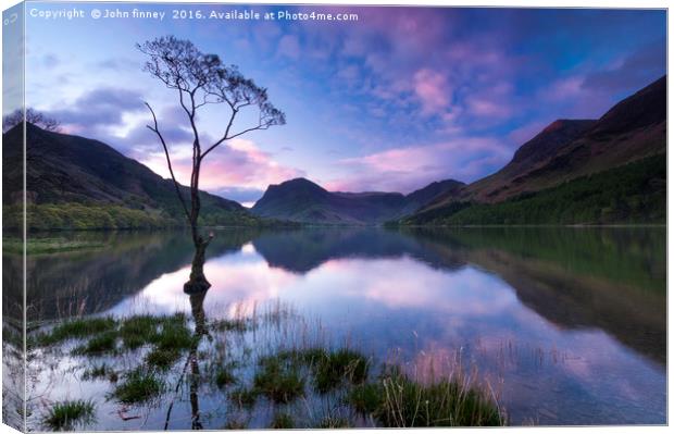 Buttermere tree, English Lake District. Canvas Print by John Finney
