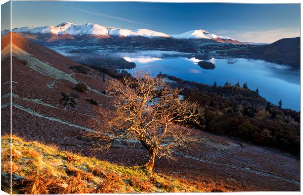 Sunrise over the Northern Fells. Lake District.  Canvas Print by John Finney