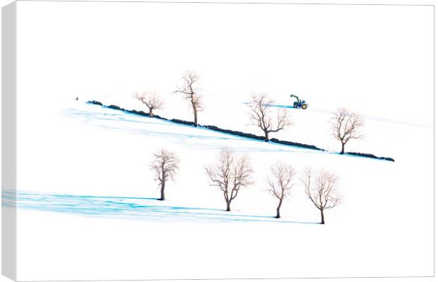 Winter trees  Canvas Print by John Finney